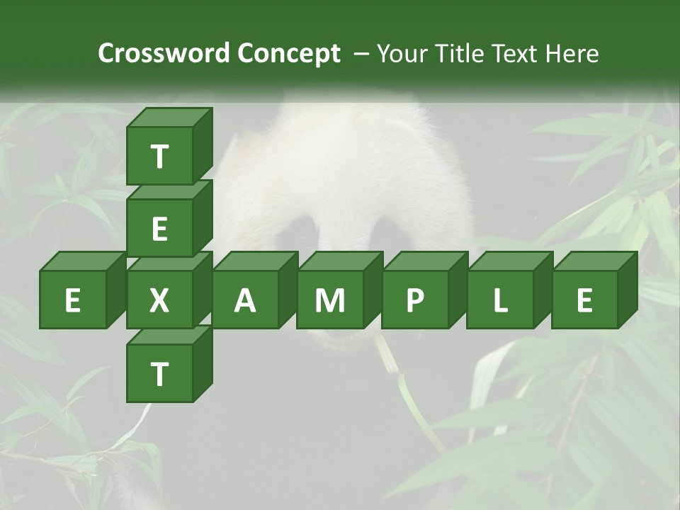 A Panda Bear Eating Bamboo In A Forest PowerPoint Template