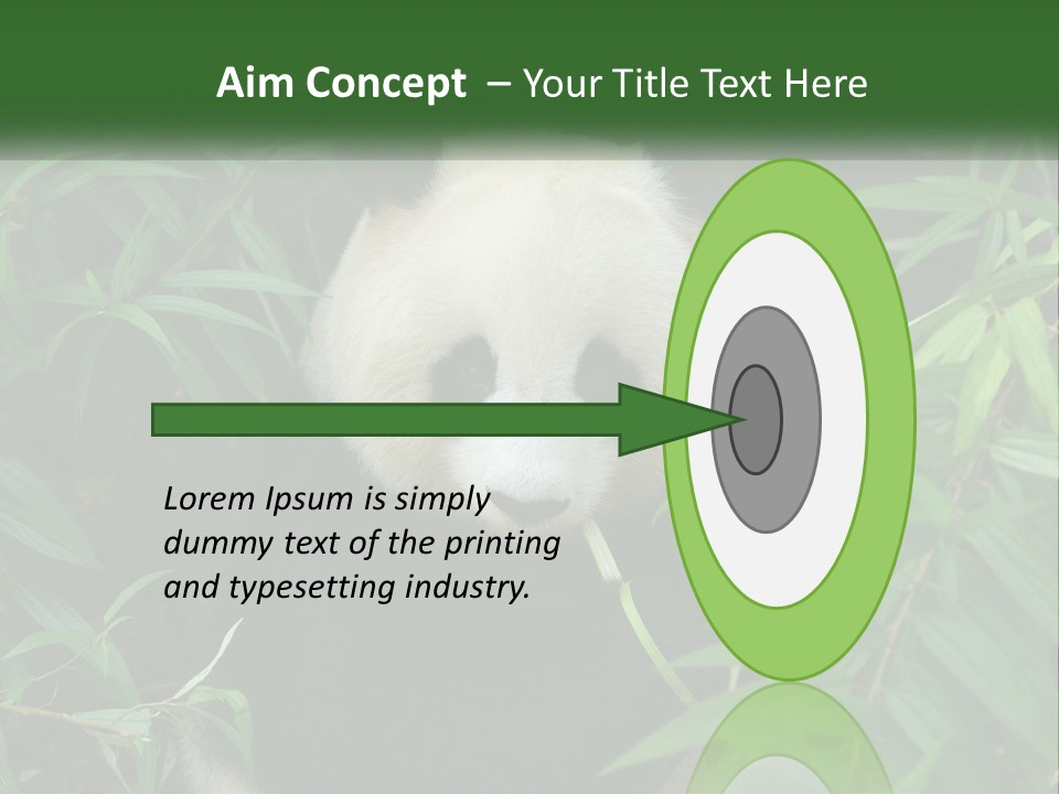 A Panda Bear Eating Bamboo In A Forest PowerPoint Template