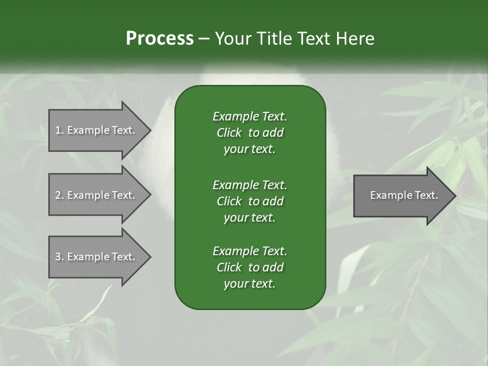 A Panda Bear Eating Bamboo In A Forest PowerPoint Template