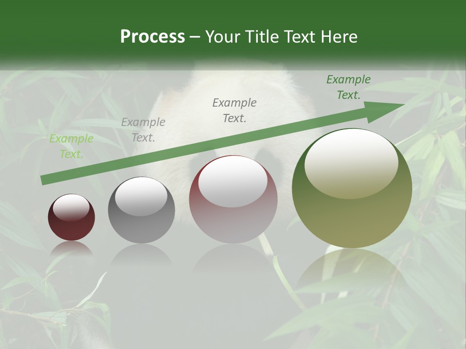 A Panda Bear Eating Bamboo In A Forest PowerPoint Template