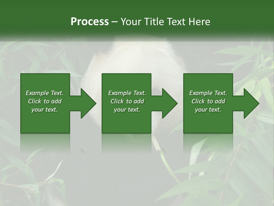 A Panda Bear Eating Bamboo In A Forest PowerPoint Template