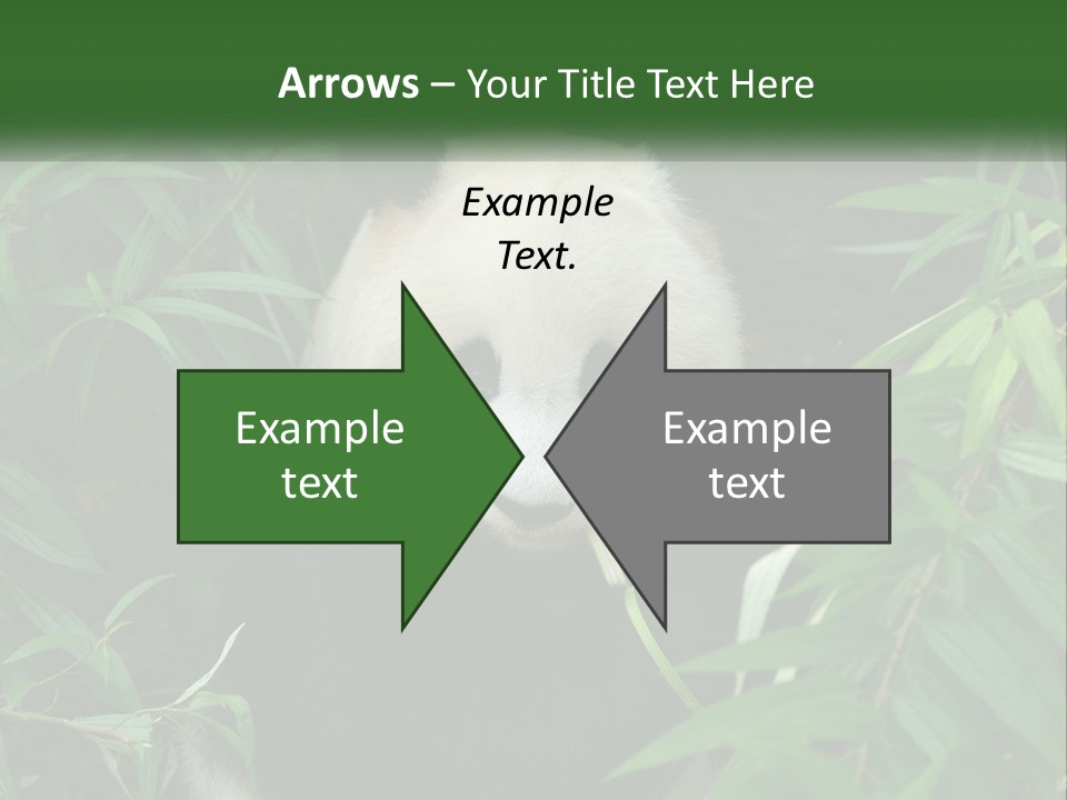 A Panda Bear Eating Bamboo In A Forest PowerPoint Template