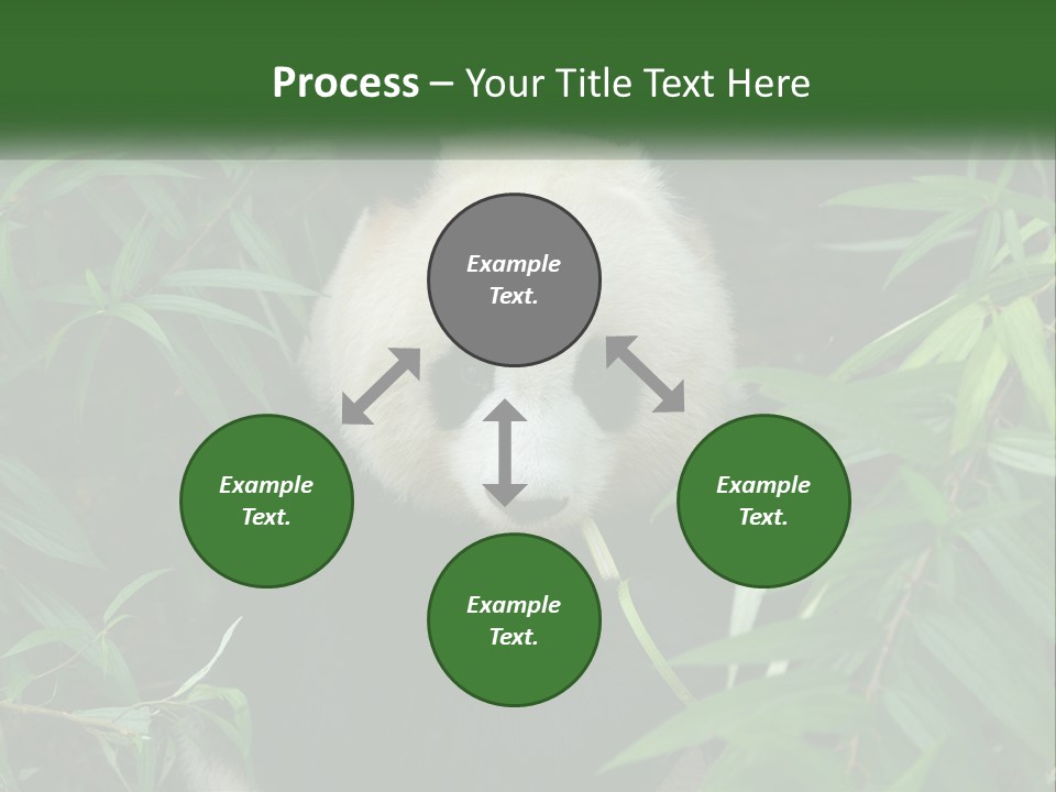 A Panda Bear Eating Bamboo In A Forest PowerPoint Template