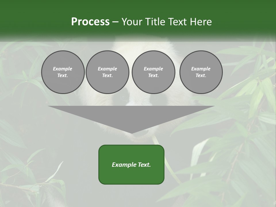 A Panda Bear Eating Bamboo In A Forest PowerPoint Template