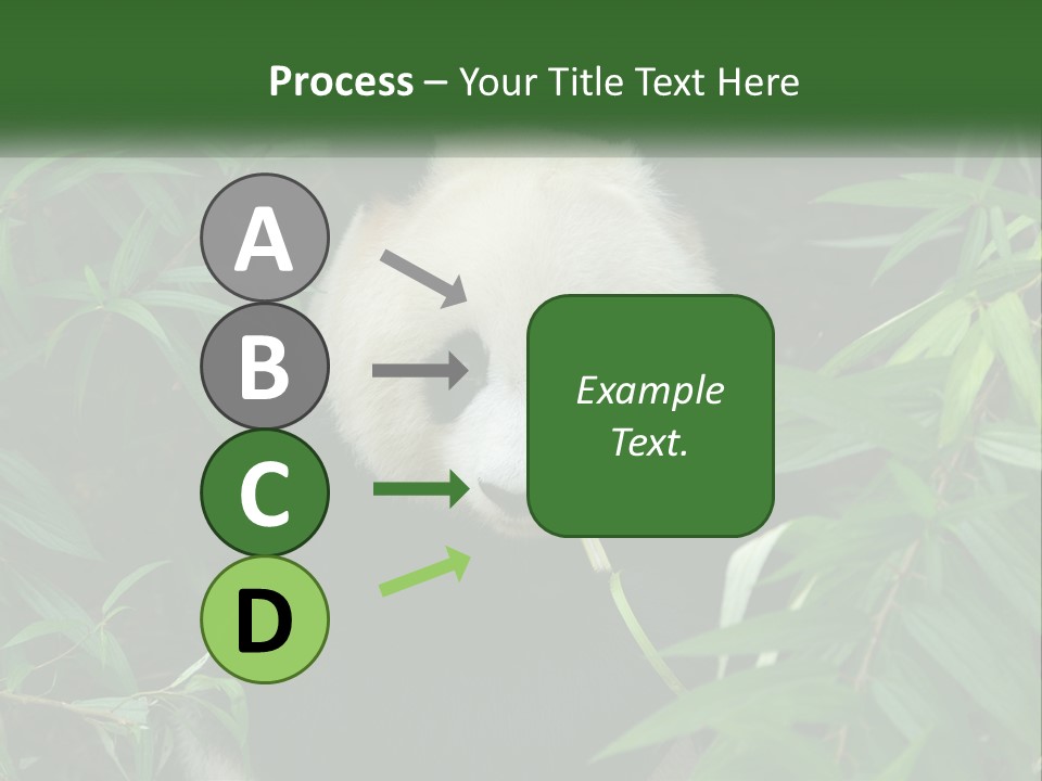A Panda Bear Eating Bamboo In A Forest PowerPoint Template