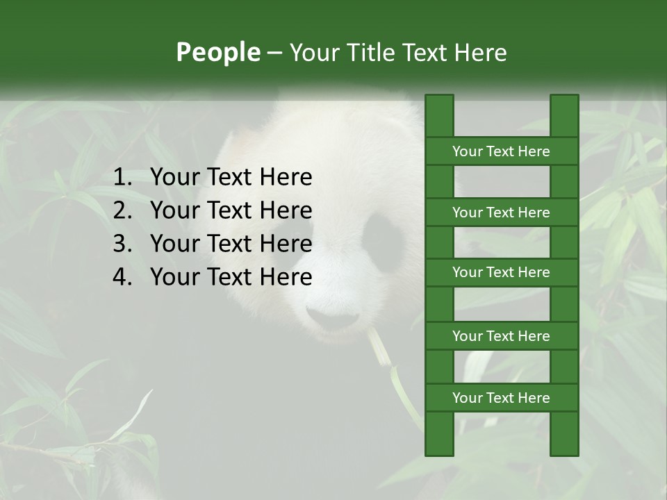 A Panda Bear Eating Bamboo In A Forest PowerPoint Template