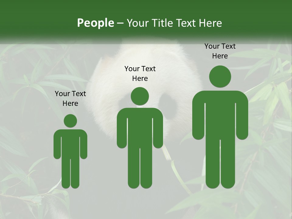 A Panda Bear Eating Bamboo In A Forest PowerPoint Template