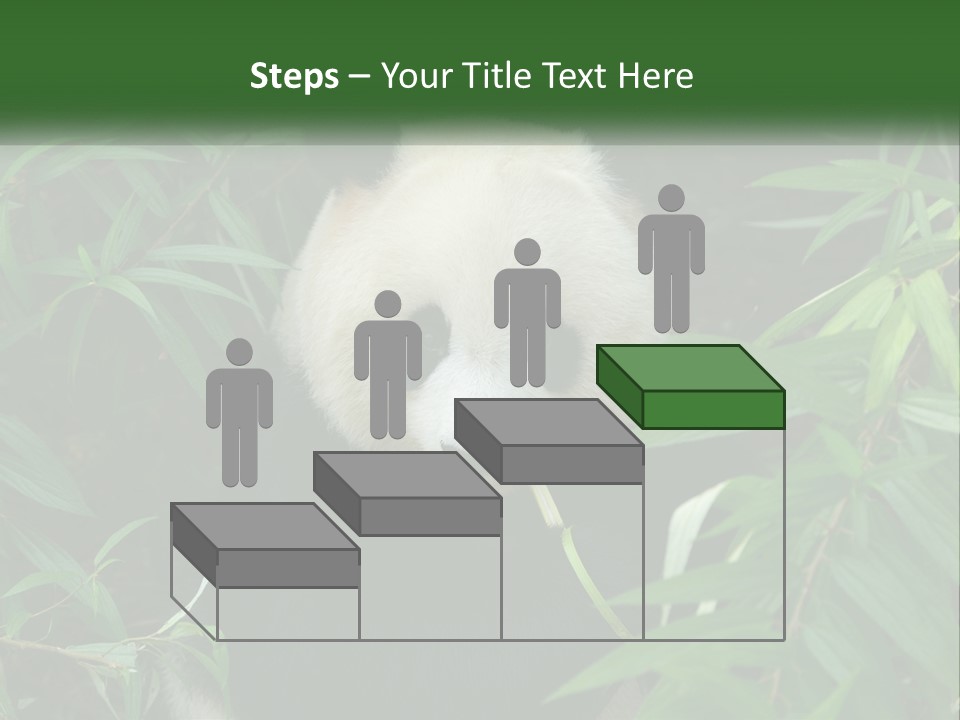 A Panda Bear Eating Bamboo In A Forest PowerPoint Template