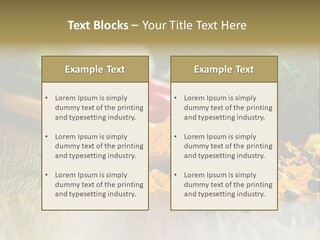 A Wooden Spoon Filled With Yellow Powder Next To Vegetables PowerPoint Template