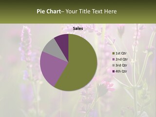 A Bee On A Purple Flower Powerpoint Presentation PowerPoint Template