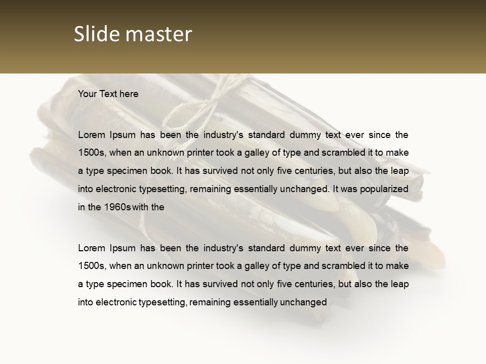 A Bunch Of Bamboo Sticks Tied Up To A White Background PowerPoint Template