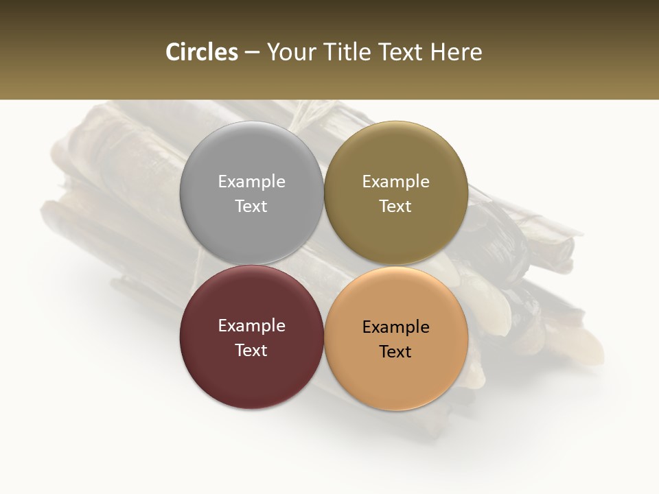 A Bunch Of Bamboo Sticks Tied Up To A White Background PowerPoint Template