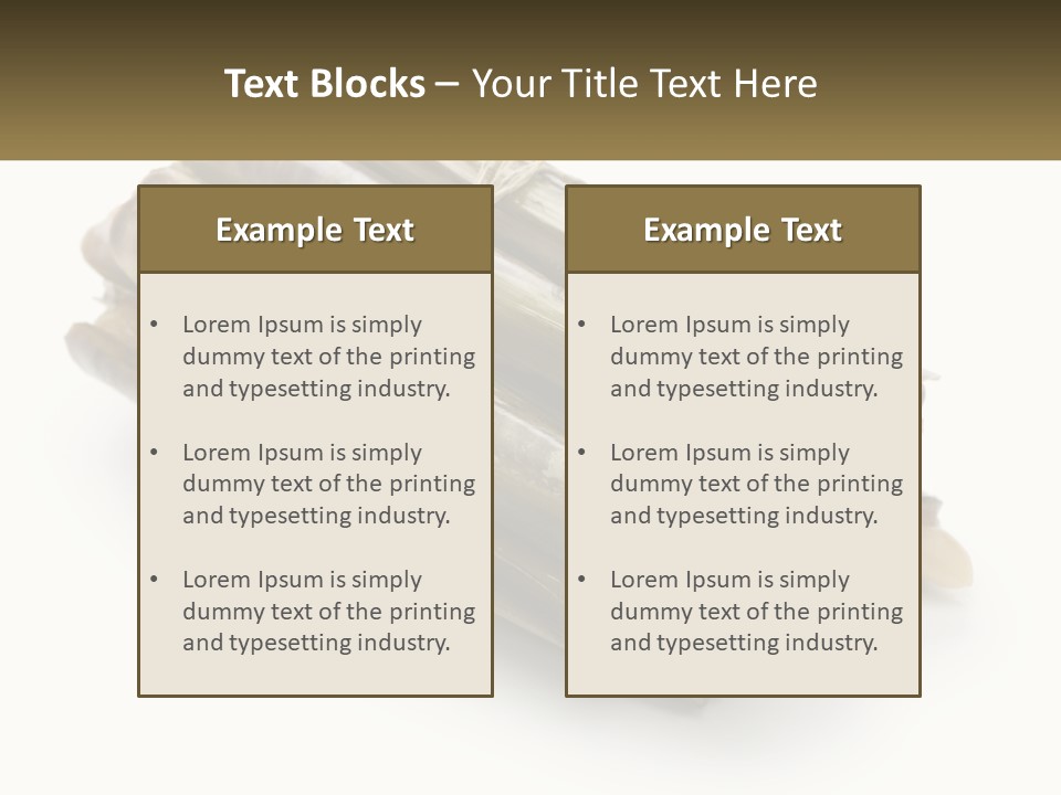 A Bunch Of Bamboo Sticks Tied Up To A White Background PowerPoint Template