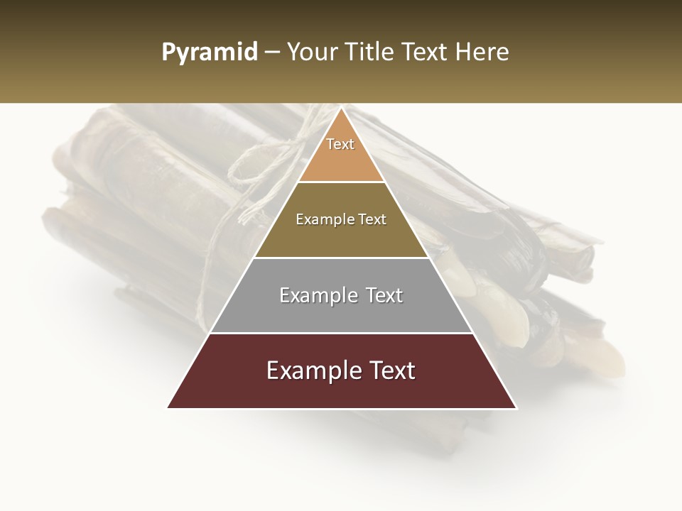 A Bunch Of Bamboo Sticks Tied Up To A White Background PowerPoint Template