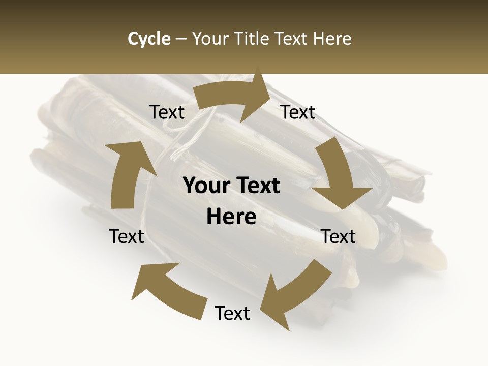 A Bunch Of Bamboo Sticks Tied Up To A White Background PowerPoint Template
