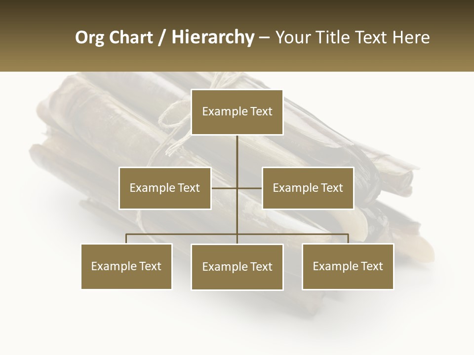 A Bunch Of Bamboo Sticks Tied Up To A White Background PowerPoint Template