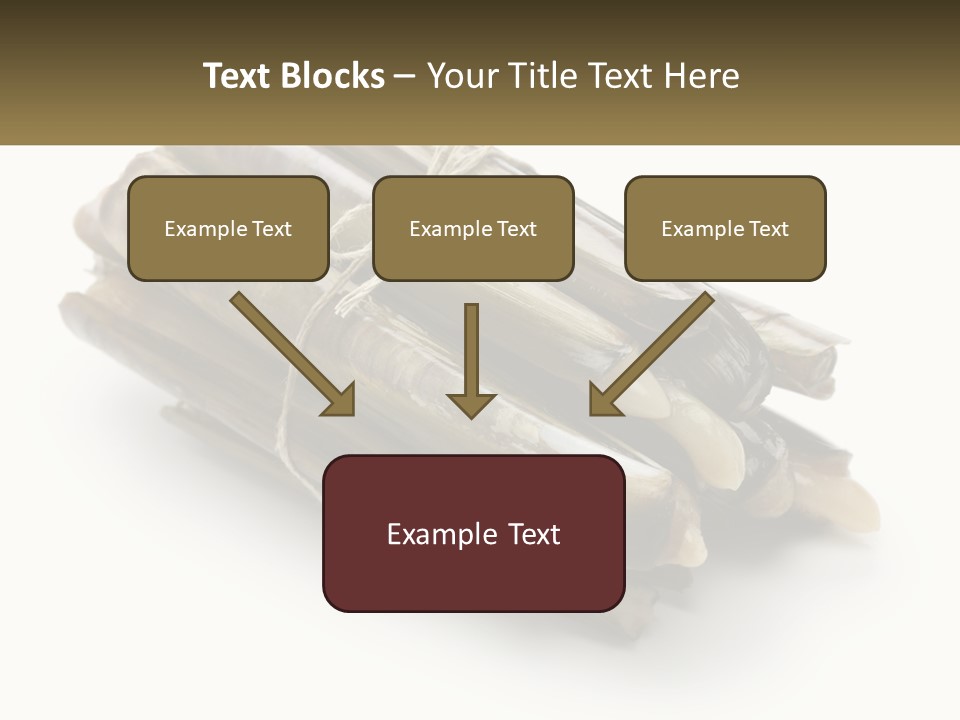 A Bunch Of Bamboo Sticks Tied Up To A White Background PowerPoint Template