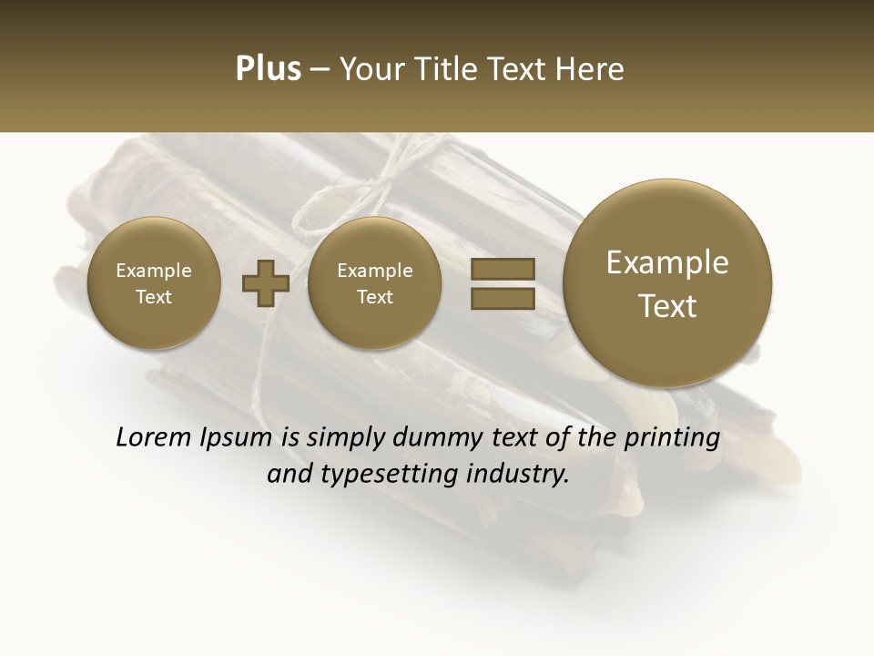 A Bunch Of Bamboo Sticks Tied Up To A White Background PowerPoint Template