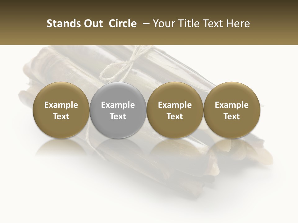 A Bunch Of Bamboo Sticks Tied Up To A White Background PowerPoint Template