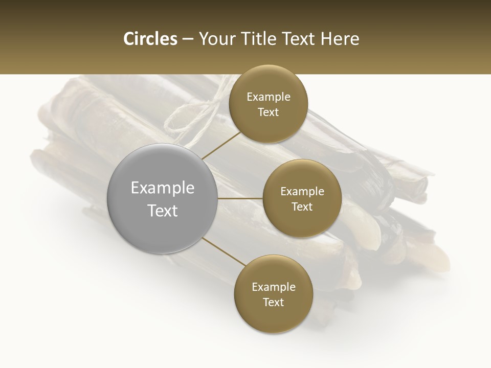 A Bunch Of Bamboo Sticks Tied Up To A White Background PowerPoint Template