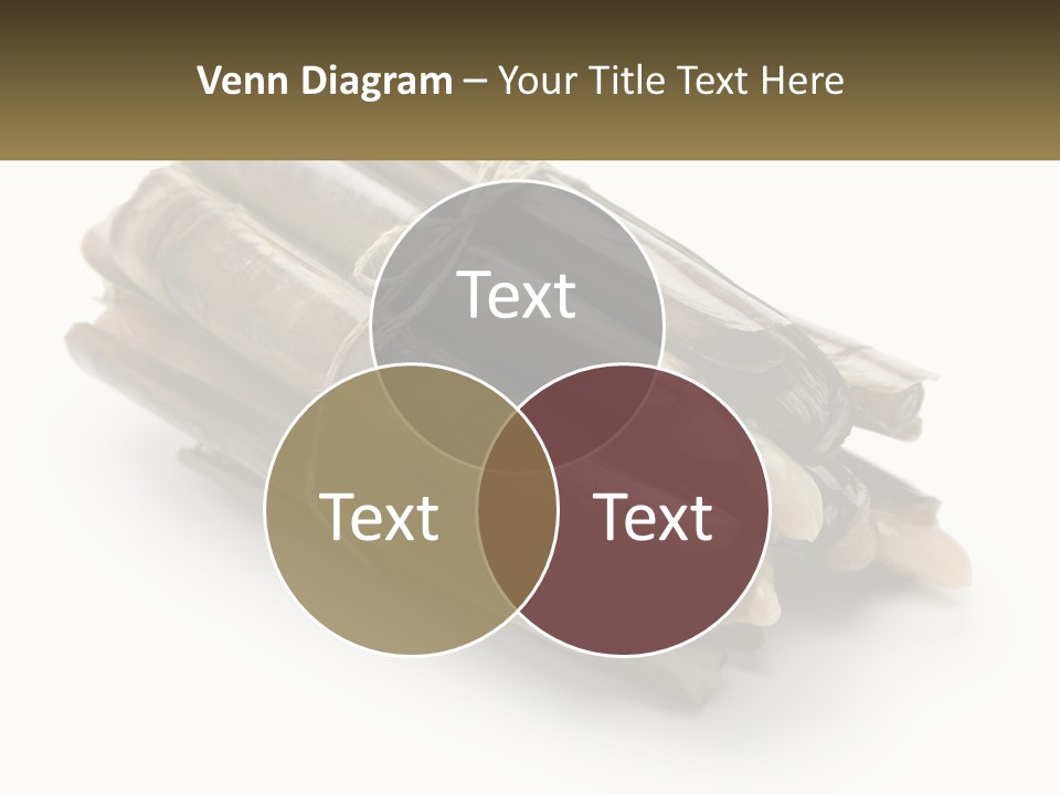 A Bunch Of Bamboo Sticks Tied Up To A White Background PowerPoint Template
