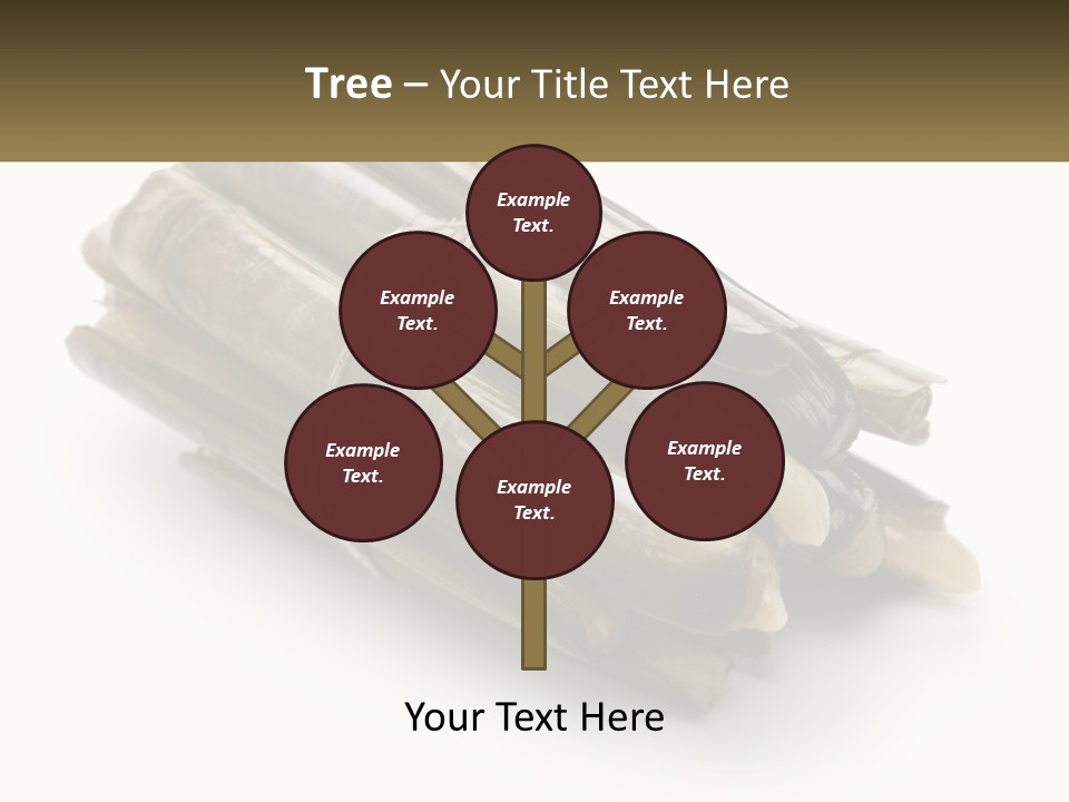 A Bunch Of Bamboo Sticks Tied Up To A White Background PowerPoint Template