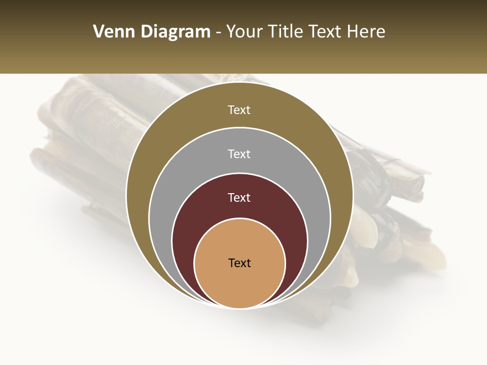 A Bunch Of Bamboo Sticks Tied Up To A White Background PowerPoint Template