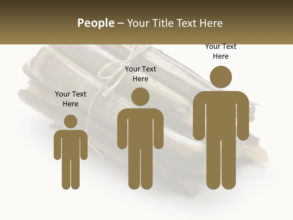 A Bunch Of Bamboo Sticks Tied Up To A White Background PowerPoint Template