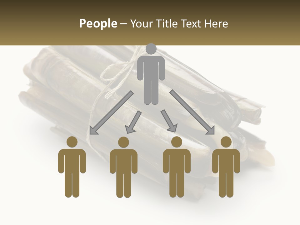 A Bunch Of Bamboo Sticks Tied Up To A White Background PowerPoint Template