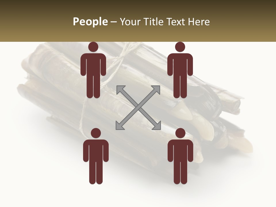 A Bunch Of Bamboo Sticks Tied Up To A White Background PowerPoint Template