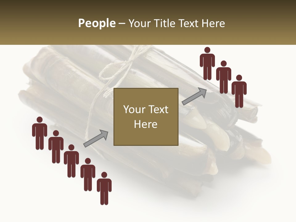 A Bunch Of Bamboo Sticks Tied Up To A White Background PowerPoint Template