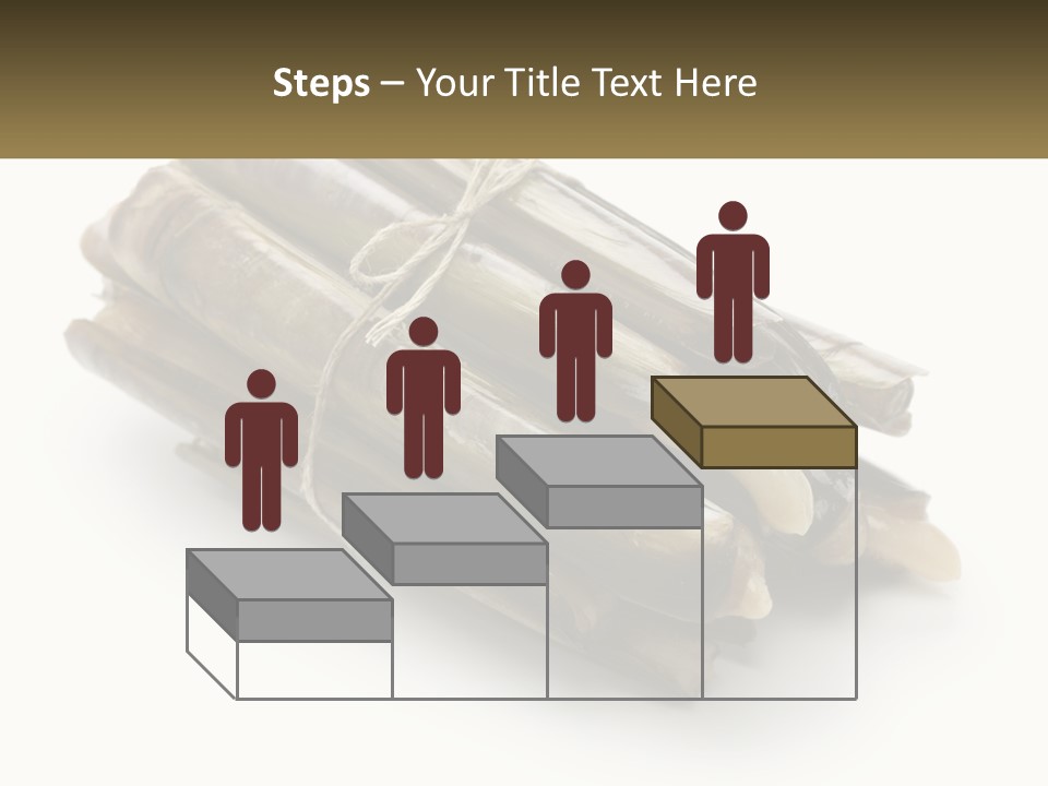 A Bunch Of Bamboo Sticks Tied Up To A White Background PowerPoint Template