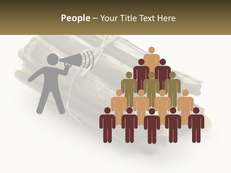 A Bunch Of Bamboo Sticks Tied Up To A White Background PowerPoint Template