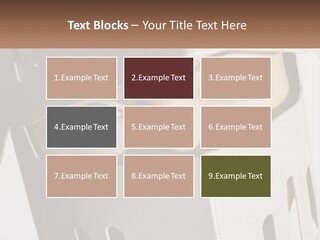 A Woman Peeking Out Of A Box With Her Eyes Wide Open PowerPoint Template