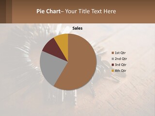 A Bunch Of Keys Arranged In A Circle On A Table PowerPoint Template