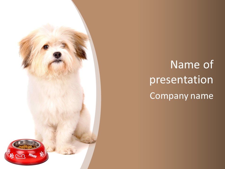 A Dog Sitting Next To A Bowl Of Food PowerPoint Template