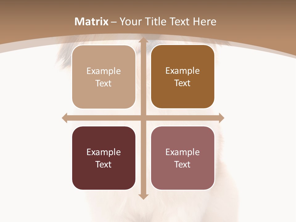 A Dog Sitting Next To A Bowl Of Food PowerPoint Template
