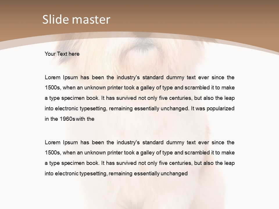 A Dog Sitting Next To A Bowl Of Food PowerPoint Template