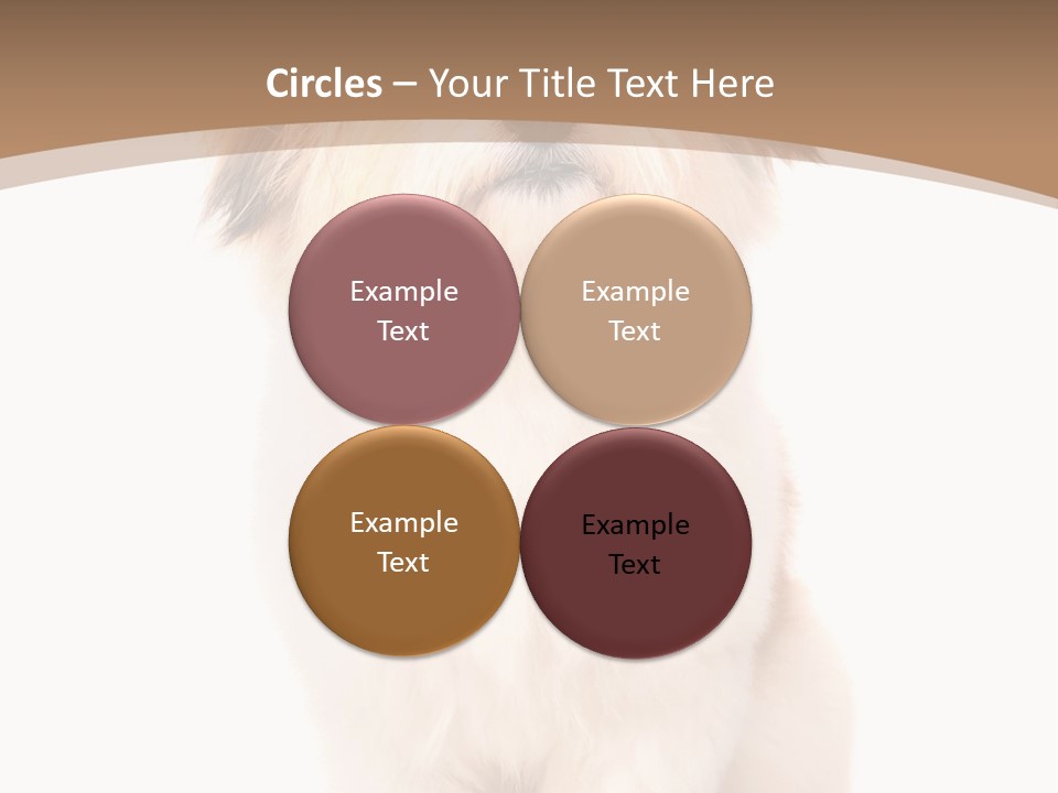 A Dog Sitting Next To A Bowl Of Food PowerPoint Template