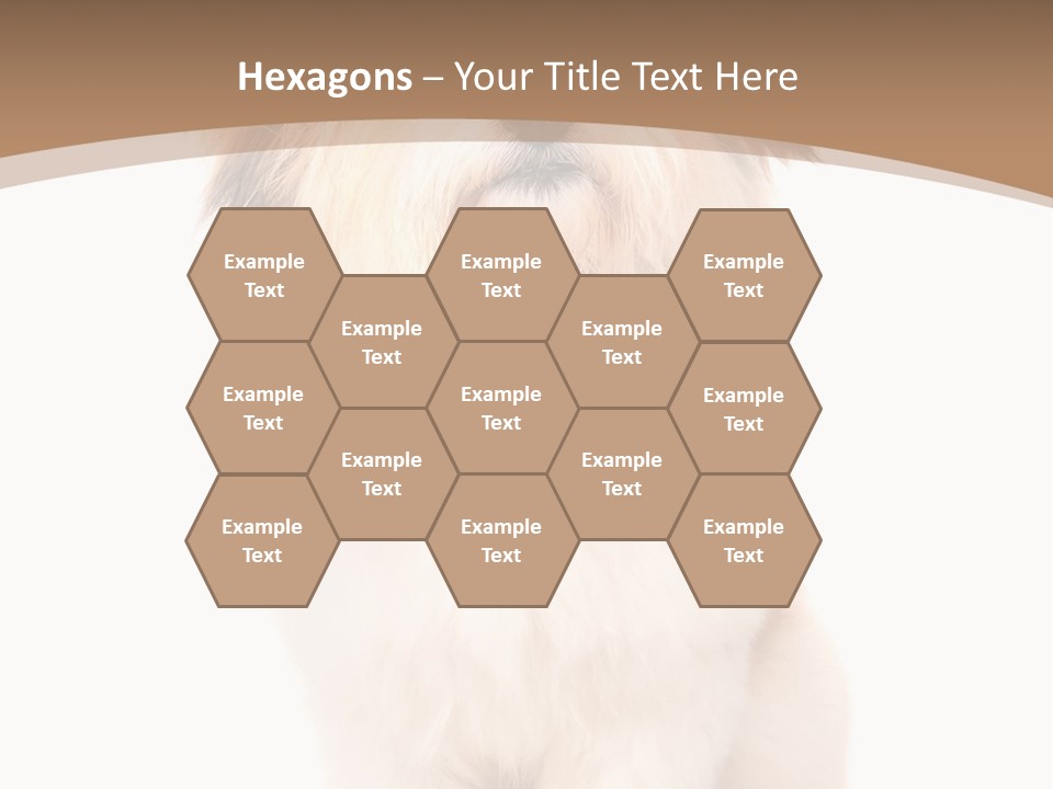 A Dog Sitting Next To A Bowl Of Food PowerPoint Template