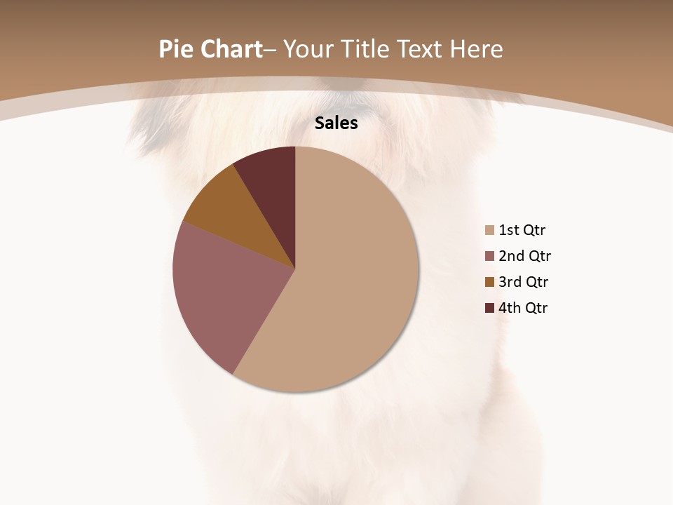 A Dog Sitting Next To A Bowl Of Food PowerPoint Template