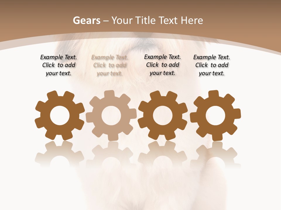 A Dog Sitting Next To A Bowl Of Food PowerPoint Template