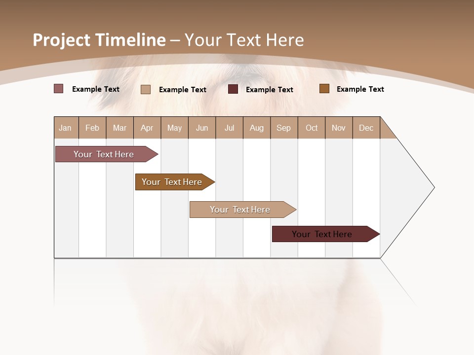 A Dog Sitting Next To A Bowl Of Food PowerPoint Template