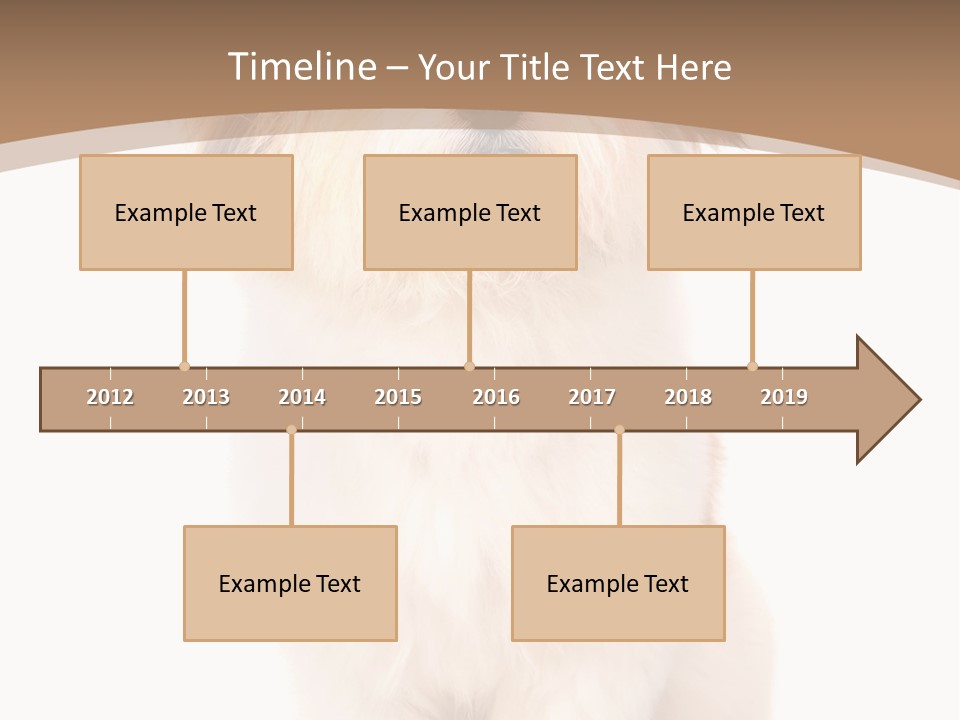 A Dog Sitting Next To A Bowl Of Food PowerPoint Template