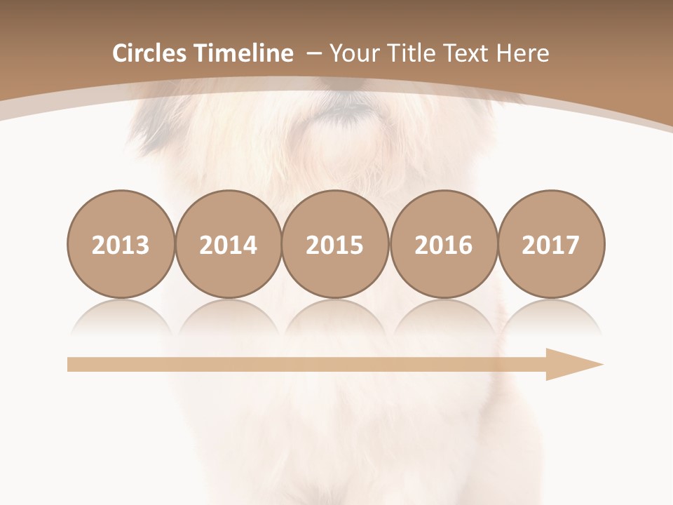 A Dog Sitting Next To A Bowl Of Food PowerPoint Template