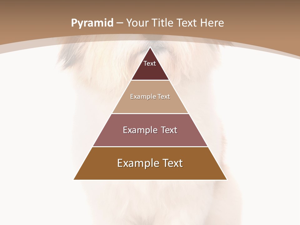 A Dog Sitting Next To A Bowl Of Food PowerPoint Template