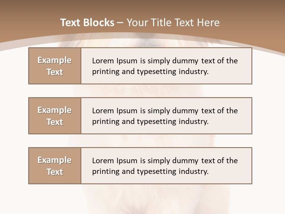 A Dog Sitting Next To A Bowl Of Food PowerPoint Template