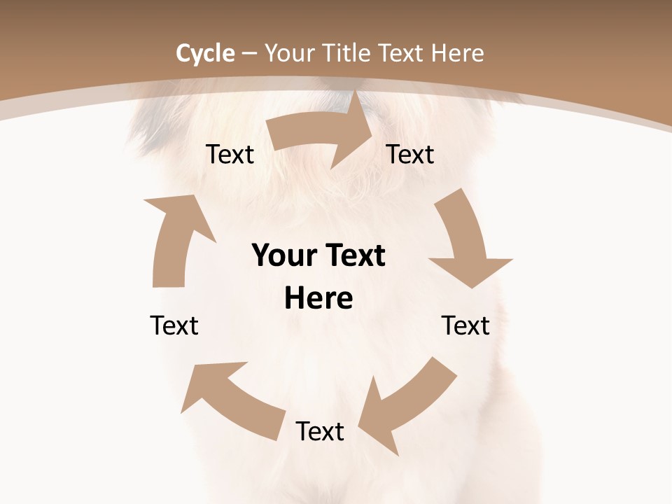 A Dog Sitting Next To A Bowl Of Food PowerPoint Template