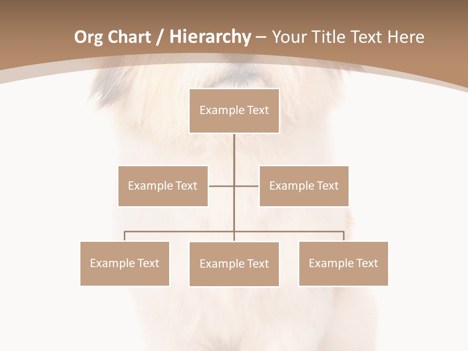 A Dog Sitting Next To A Bowl Of Food PowerPoint Template