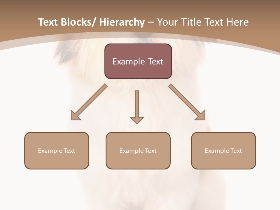 A Dog Sitting Next To A Bowl Of Food PowerPoint Template